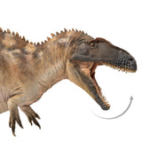Fergus the Acrocanthosaurus la figurine de dinosaure