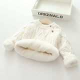 14124-jj7mco.jpg