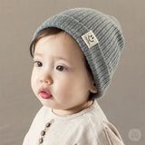 42139-wp2la8.jpg