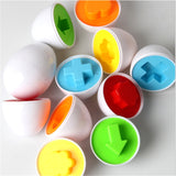 Oeufs 3D éducatifs