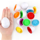Oeufs 3D éducatifs