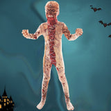 Déguisement Halloween monstre mort vivant
